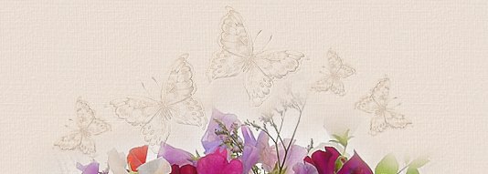 Main Image Top