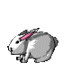 lil' critter