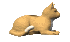 lil' critter
