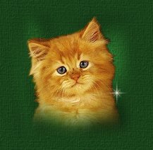 Small Image