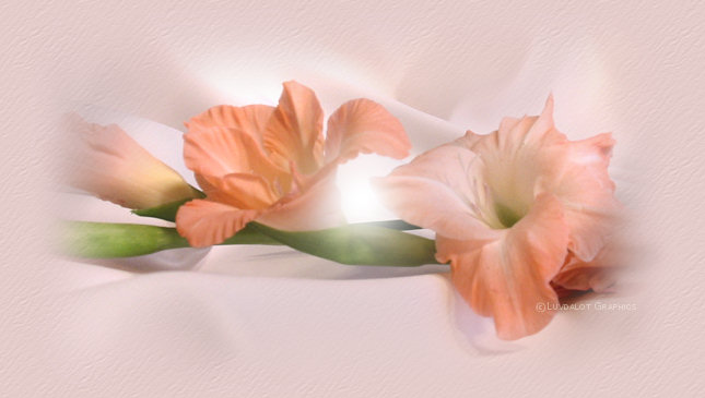 Digital photo, graphics, and design &copy; Luvdalot Graphics & Design
